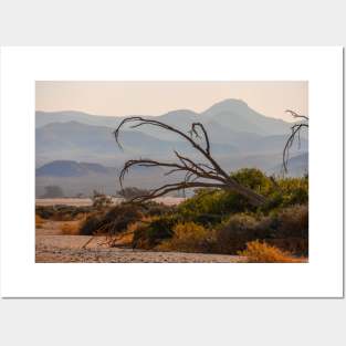 Namibia. Dead Tree with the Mountain Silhouettes. Posters and Art